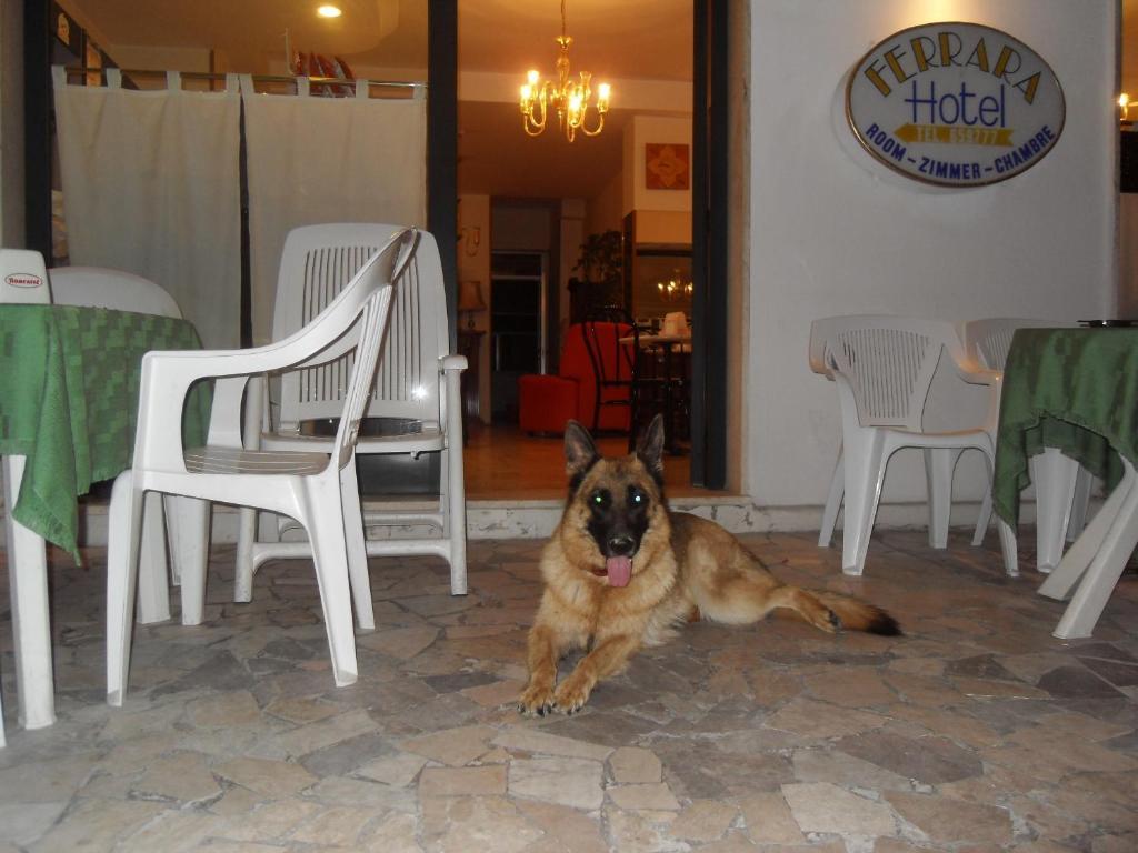 Hotel Ferrara San Benedetto del Tronto Eksteriør bilde